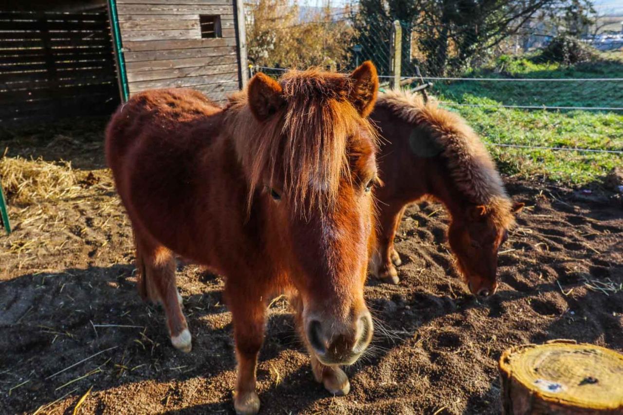 La Melazza Agroturismo Roma
